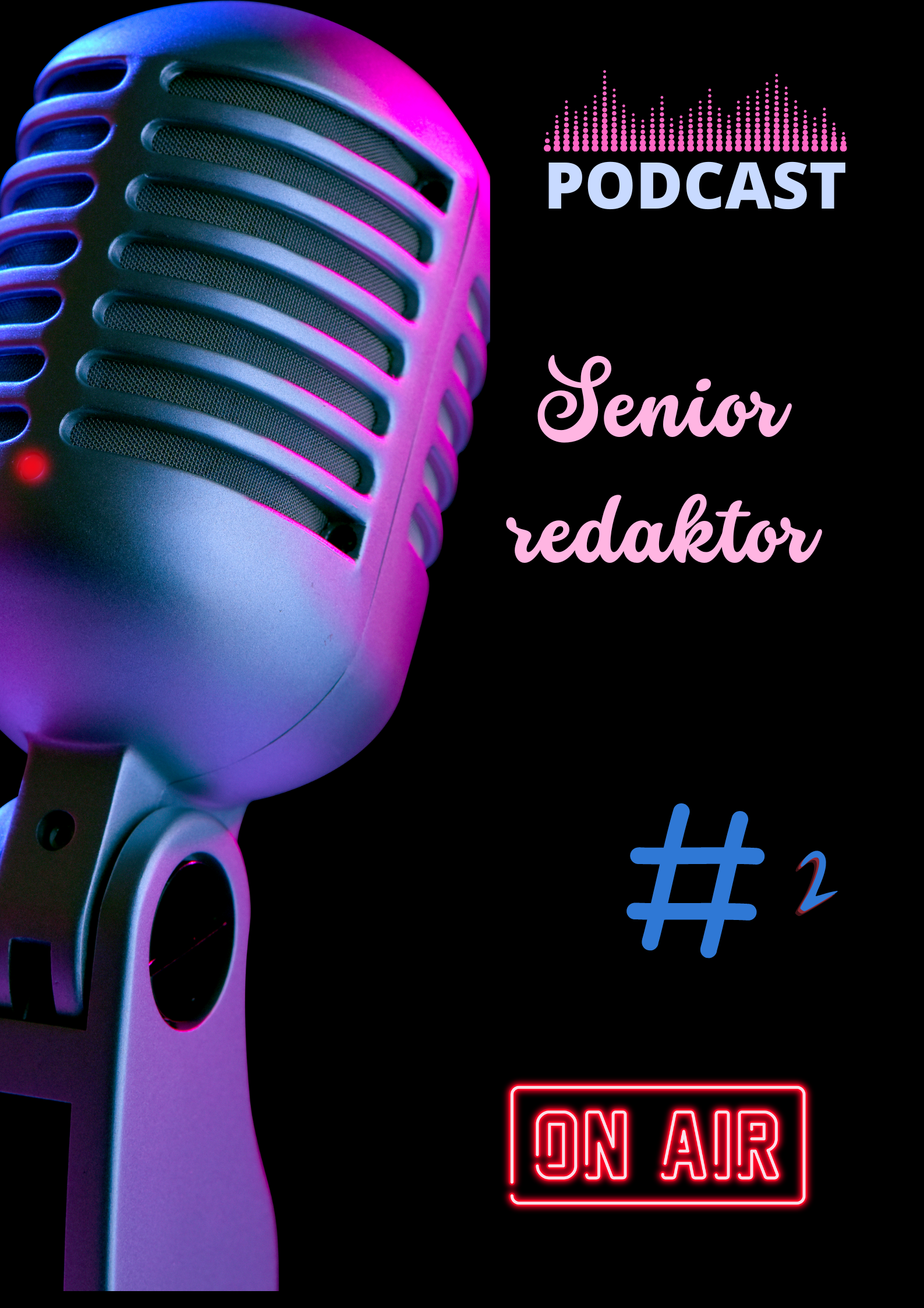 Podcast #2
